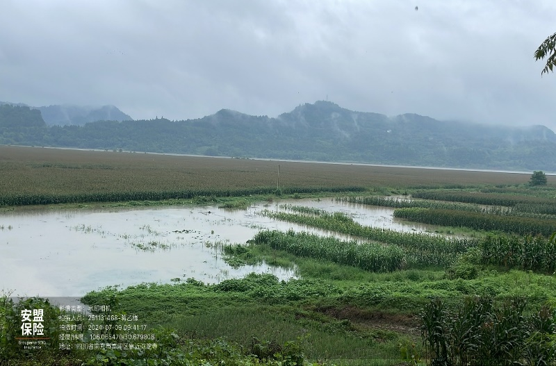 南充保險(xiǎn)業(yè)開展防汛救災(zāi)理賠工作2.png